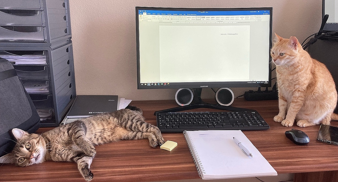 Foto: Ein Schrebtisch mit Laptop, rechts und links neben dem PC sitzen bzw. liegen zwei Katzen 