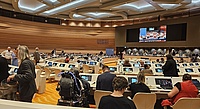 Staatenprüfung im Palais des Nations, Delegierte an den Tischen 