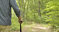 das Foto zeigt die Rückenansicht eines älteren Mannes mit Gehstock, der an einem sonnigen Tag im Wald spazieren geht